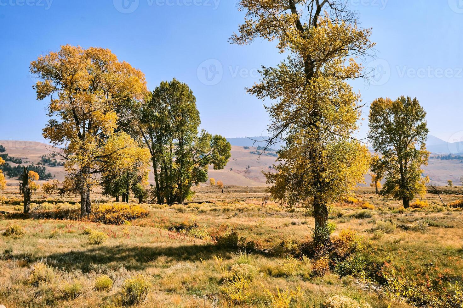 Grand Teton autumn landscape photo