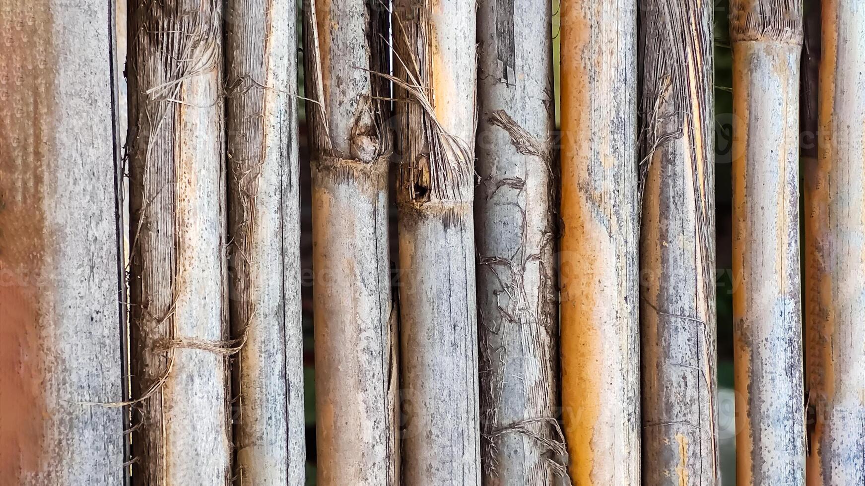 Background texture of dry reedreed cane. Flat lay, close-up photo