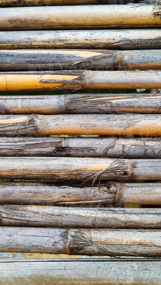 Background texture of dry reed cane. Flat lay, vertical frame, close-up photo