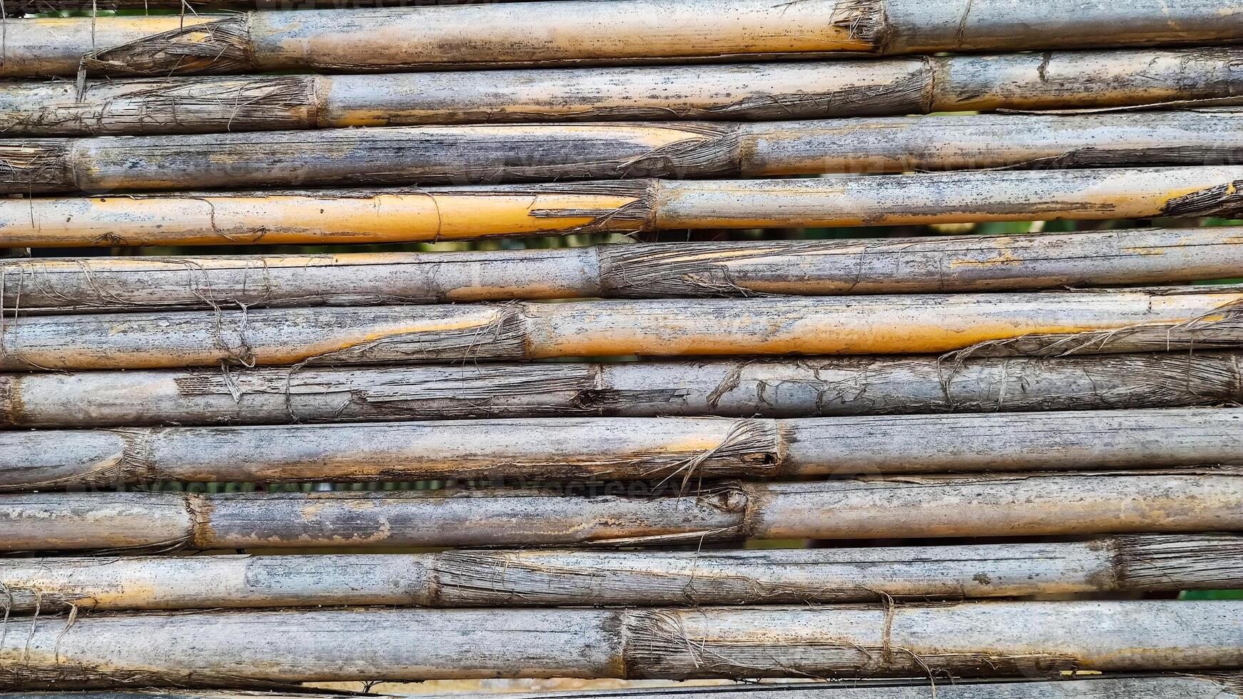 Background texture of dry bamboo cane, flat lay, vertical frame, close-up photo
