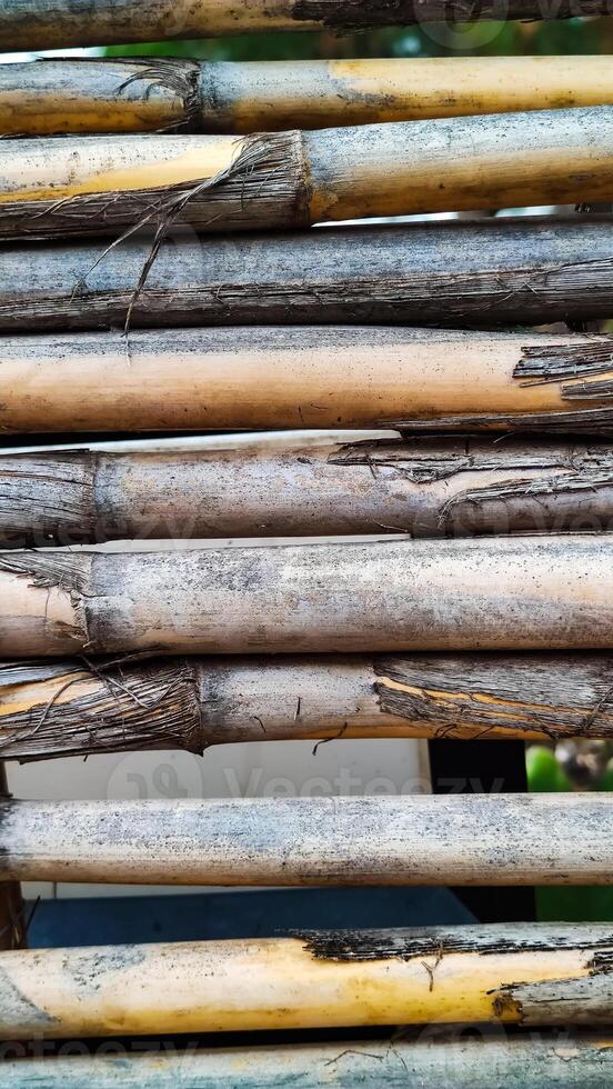 Background texture of dry reed cane. Flat lay, vertical frame, close-up photo