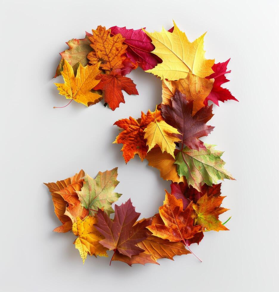 Colorful Autumn Leaves Arranged in a Number Three Shape on a White Background photo