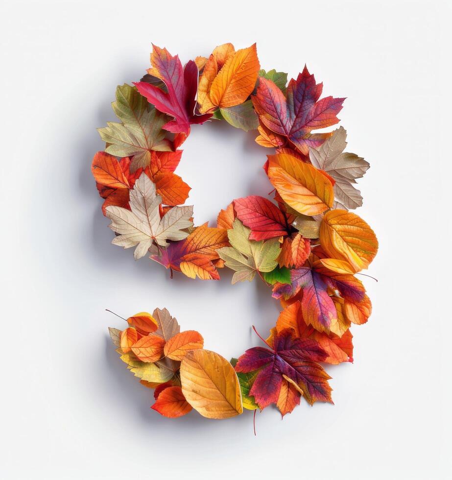 Autumn Leaves Arranged in a Number Nine on White Background photo