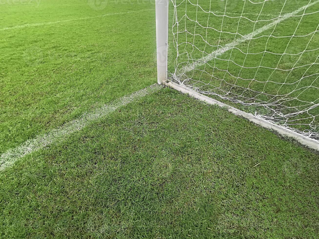 Empty soccer gate at the green grass stadium photo
