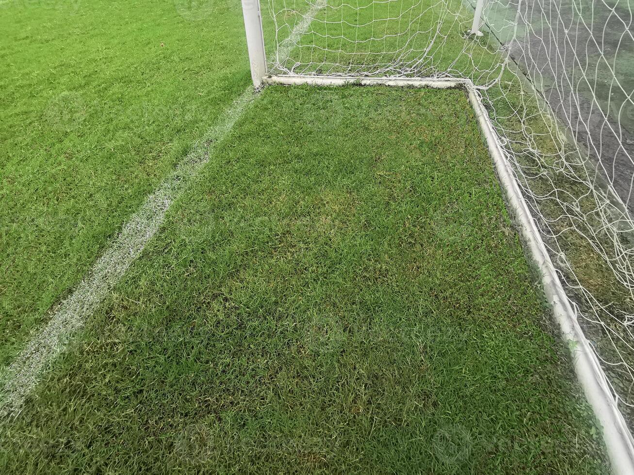 Empty soccer gate at the green grass stadium photo