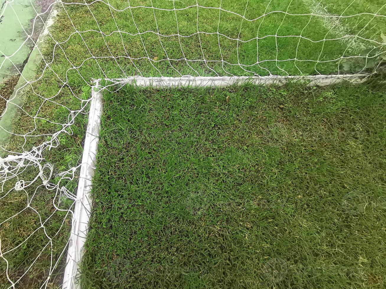Empty soccer gate at the green grass stadium photo