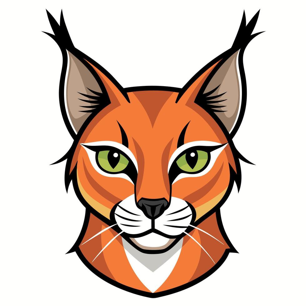 Caracal lynx learns kawaii vector