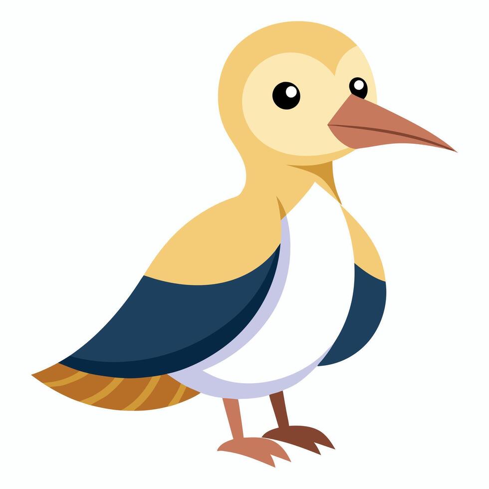 Cassowary bird flies kawaii vector
