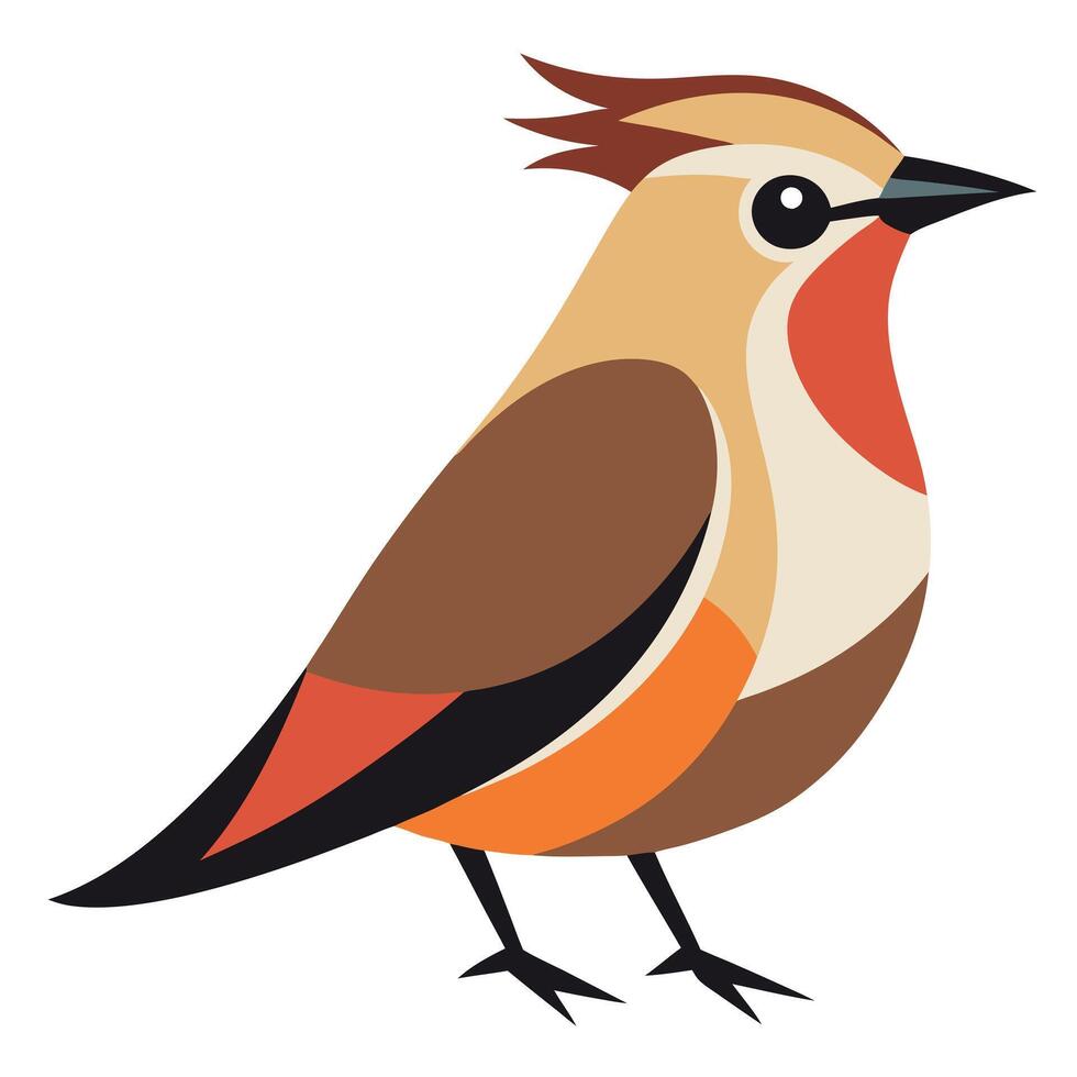 Cedar Waxwing bird knocks kawaii vector