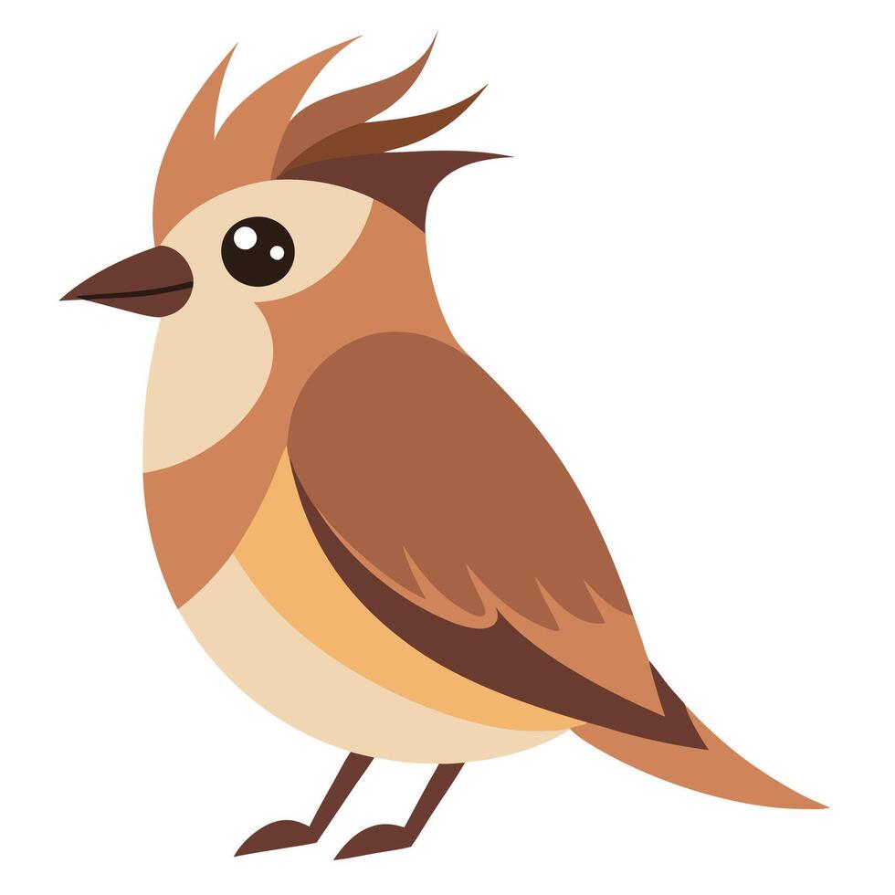 Cedar Waxwing bird lies kawaii vector