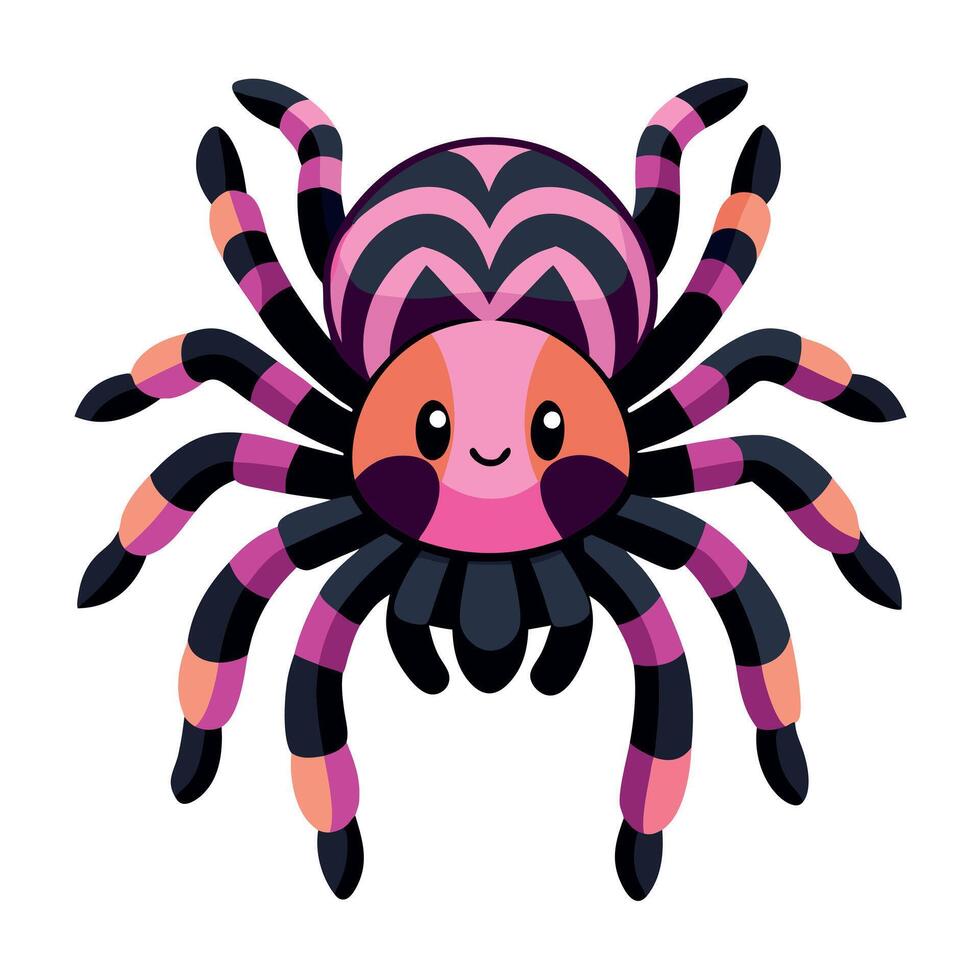 Chilean Rose Tarantula learns kawaii vector