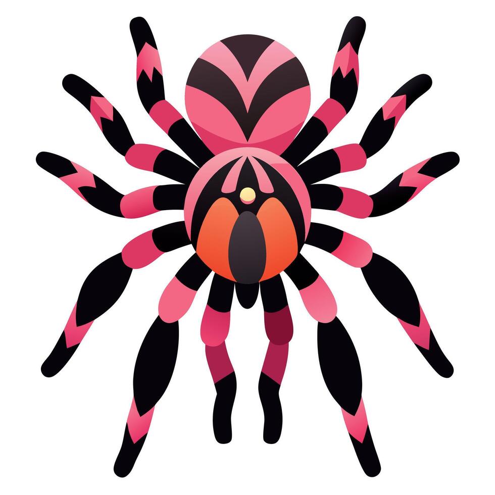 Chilean Rose Tarantula reading kawaii vector