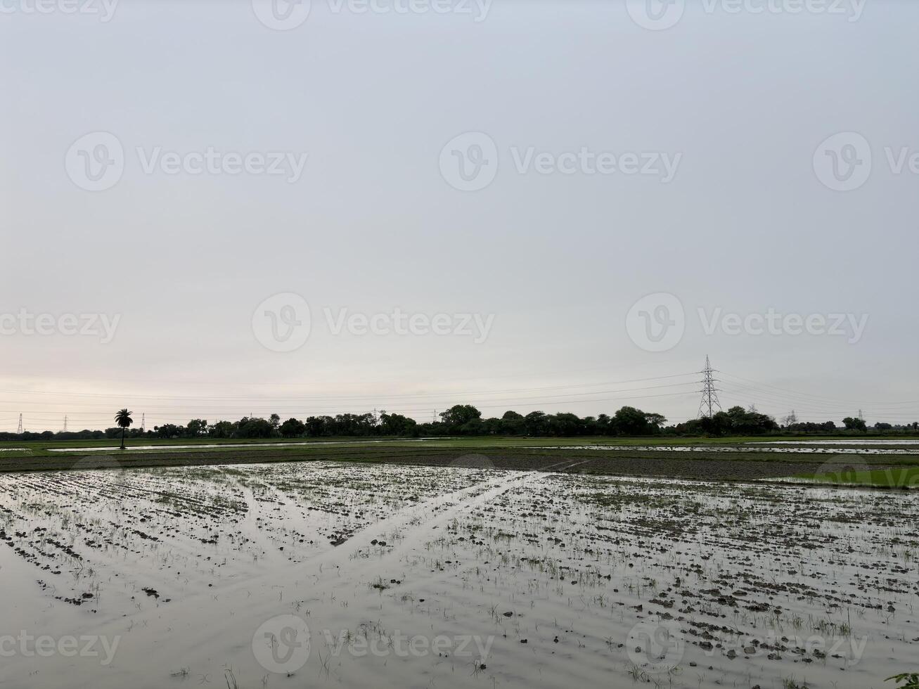 Flooded Field Under Dramatic Sky with Power Lines photo
