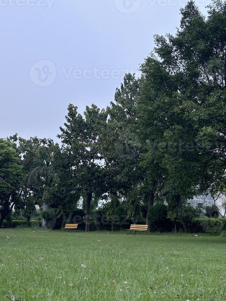 Serene Park with Empty Benches photo
