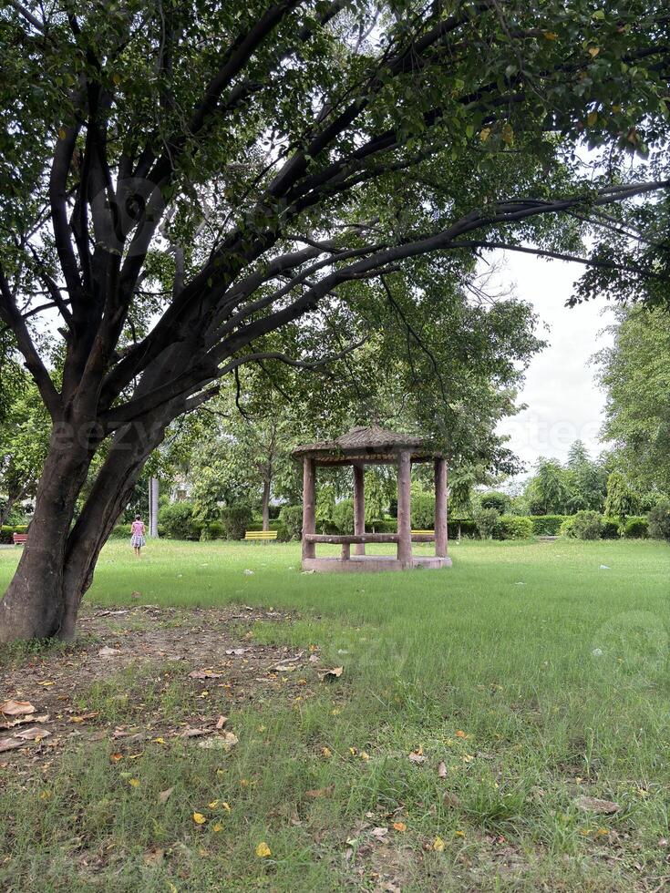 Serene Park Gazebo Surrounded by Nature photo