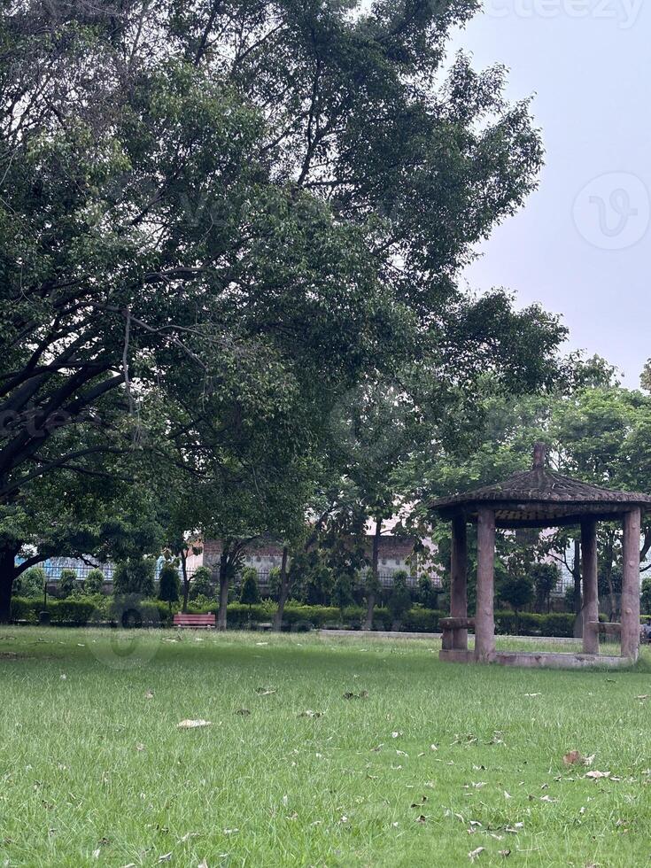A Tranquil Park with a Gazebo photo