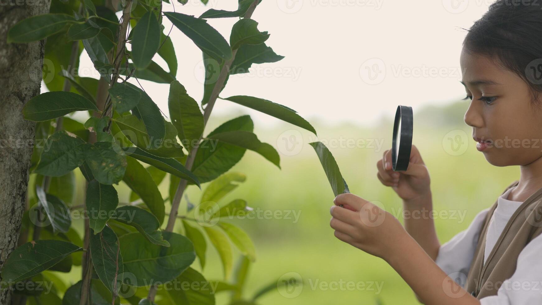 A young girl is holding a magnifying glass and looking at a tree trunk photo