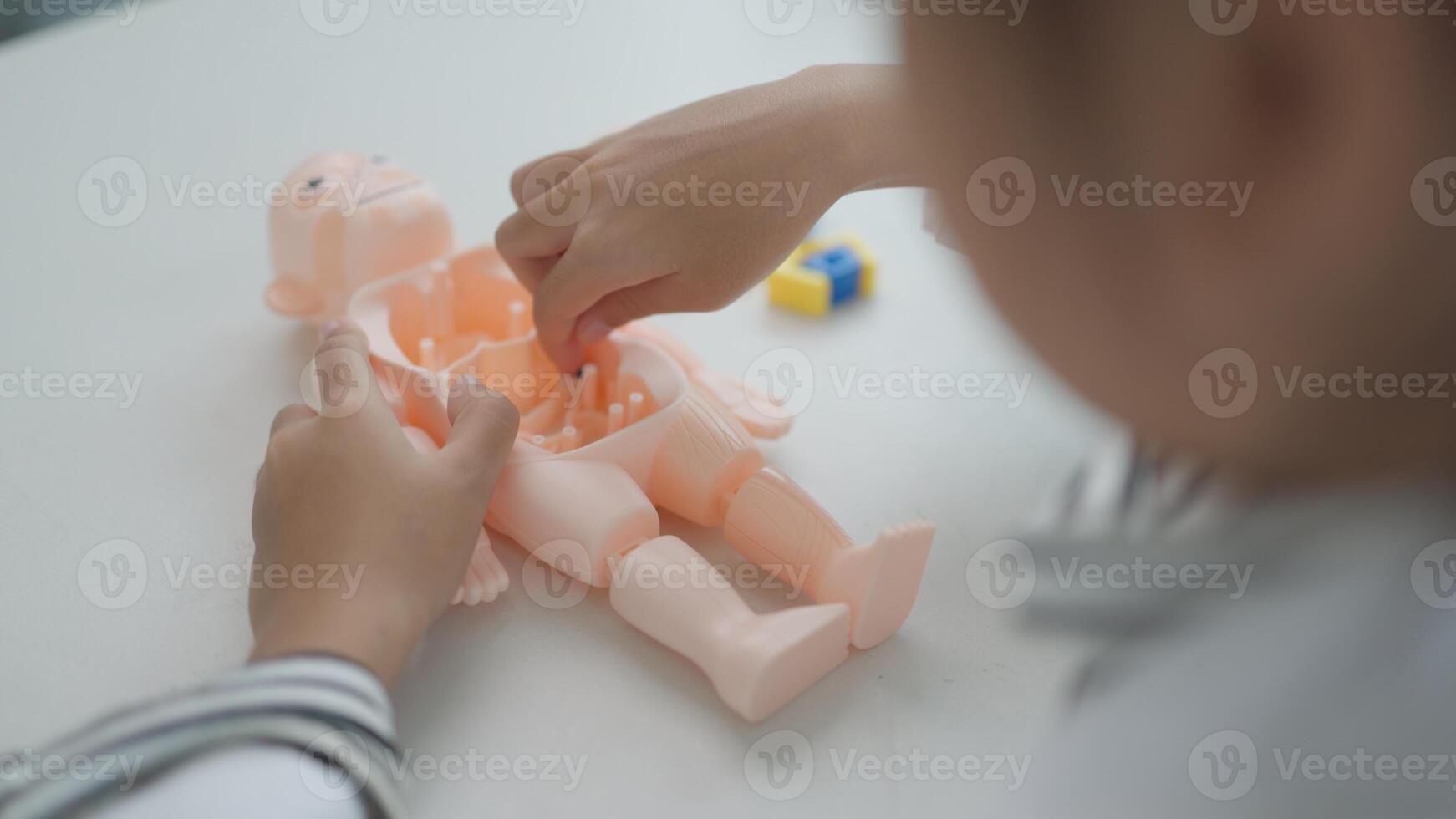Asian girl playing with anatomical dolls in a doctor game, Learn through play about internal organs with anatomical dolls at home. Children want to be a doctor. photo