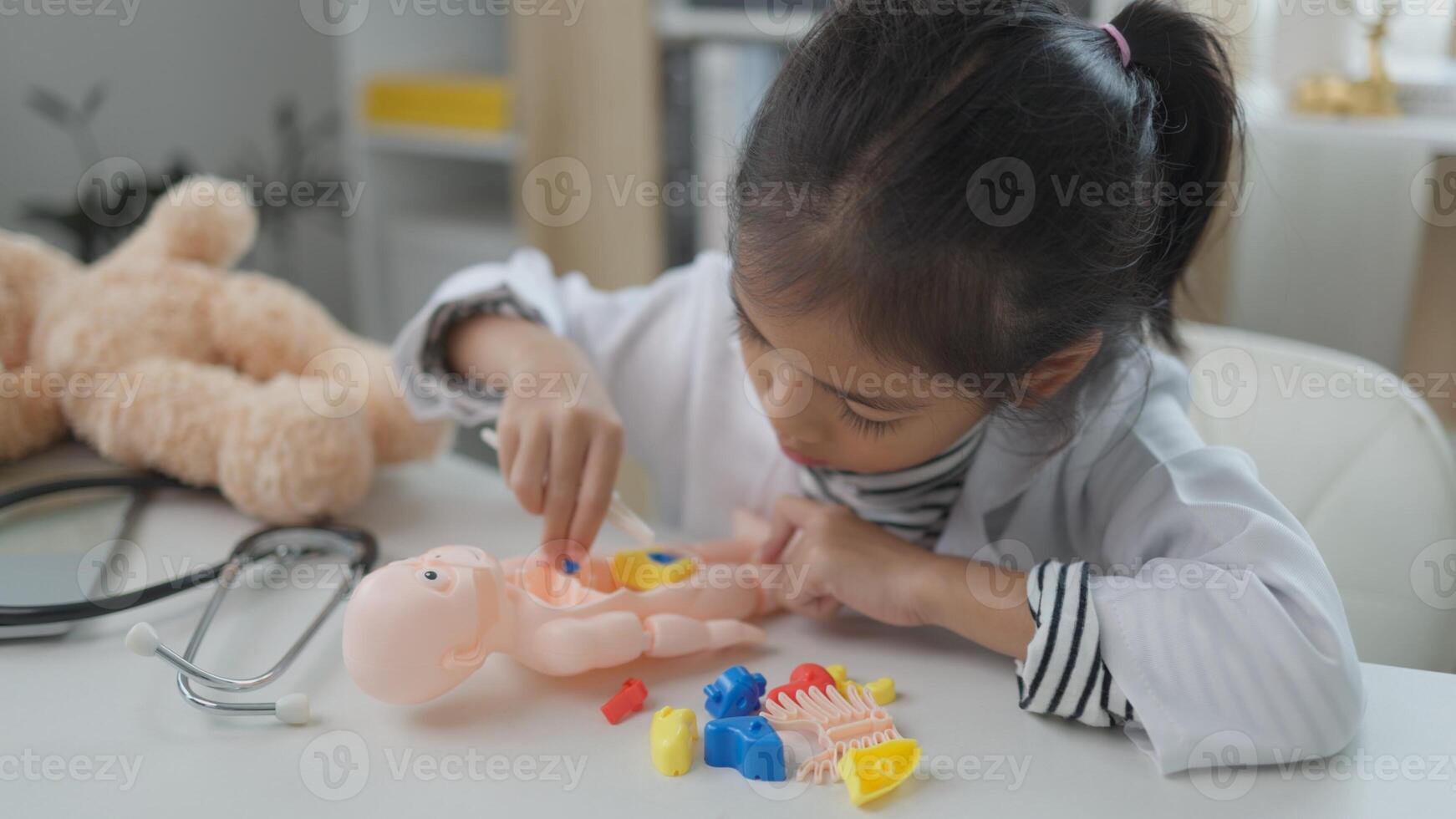 Asian girl playing with anatomical dolls in a doctor game, Learn through play about internal organs with anatomical dolls at home. Children want to be a doctor. photo