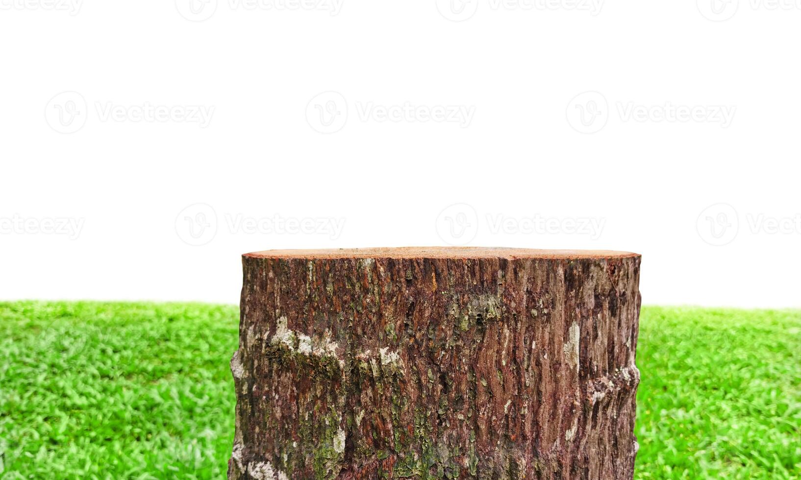 Empty old stump table with blurred garden to display products white background photo