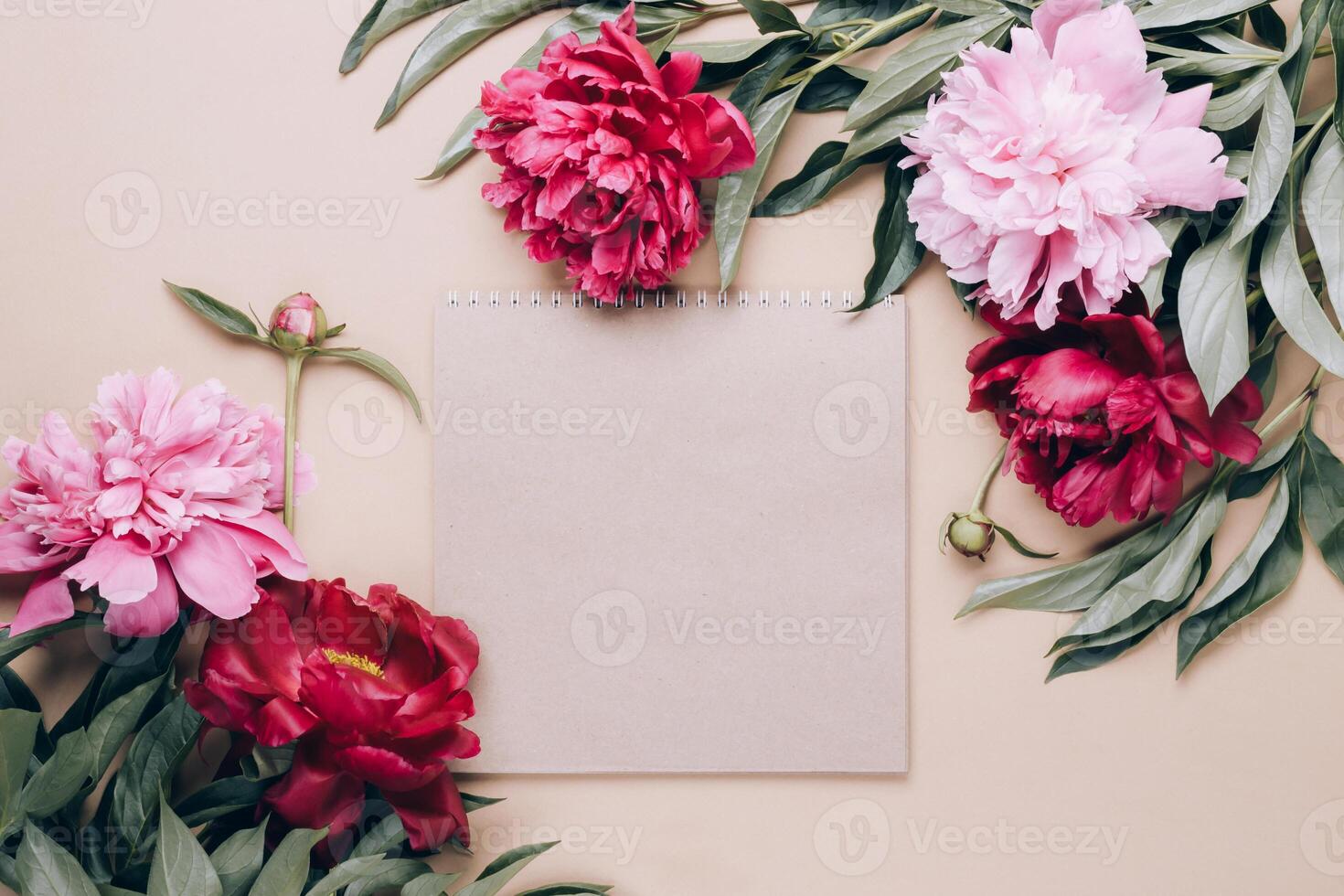 Notebook and frame of beautiful peonies on beige background. Spring or summer floral background photo