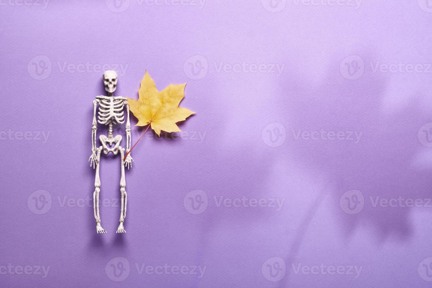 Skeleton with yellow autumn leaf on purple background. Halloween party decorations, trendy shadows photo