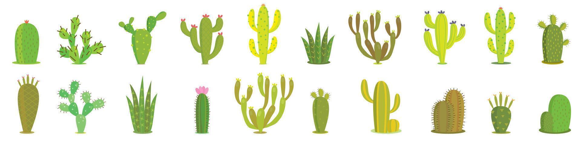 Cactus set. Collection of exotic plants. Decorative natural elements are isolated on white. Cactus with flowers. vector