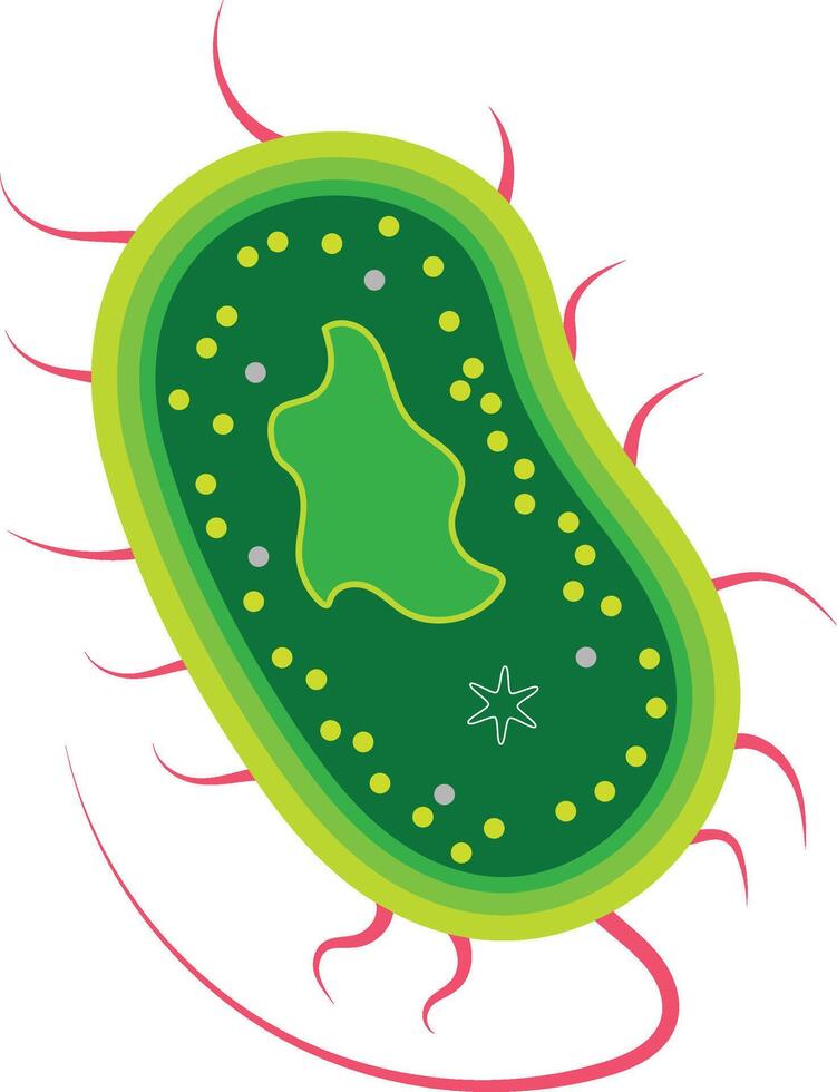 bacteria virus microorganism isolated icon illustration design illustration. vector