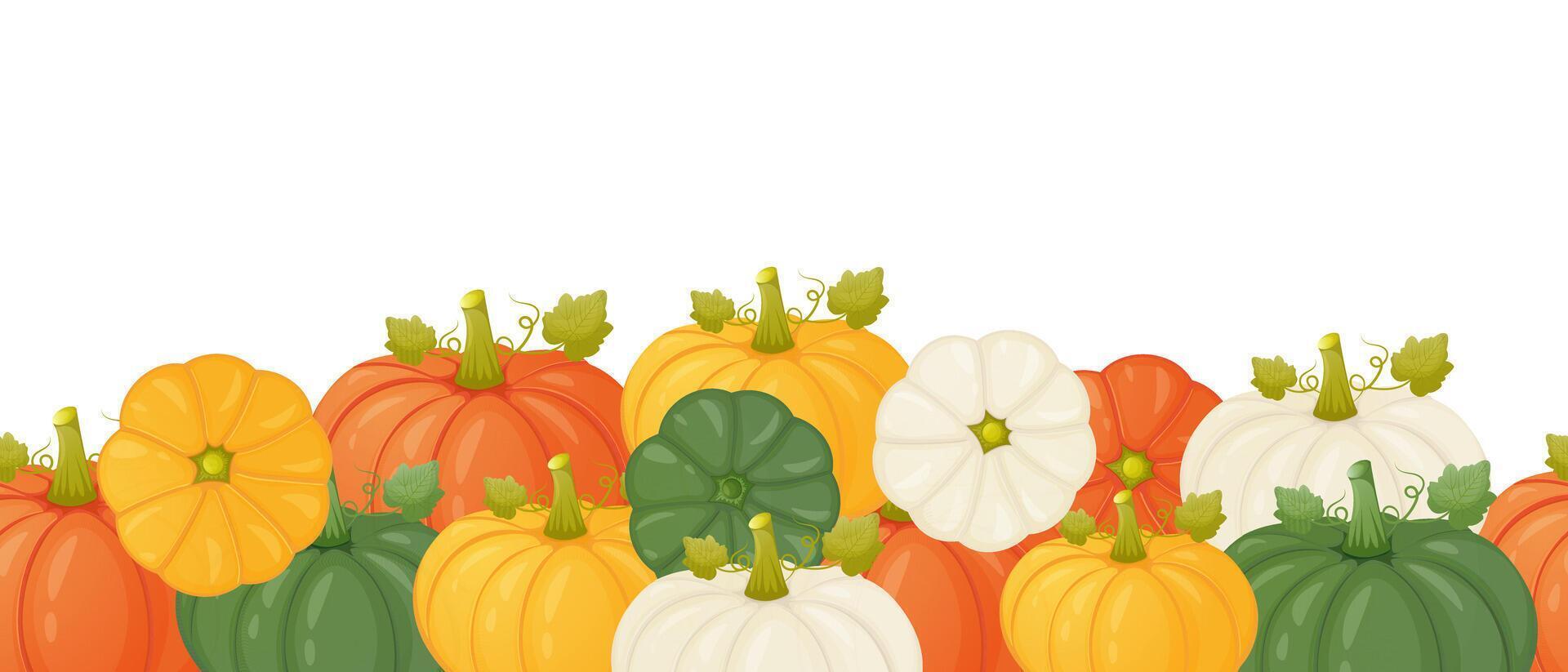 Seamless autumn season border with pumpkin. Fall banner template. vector