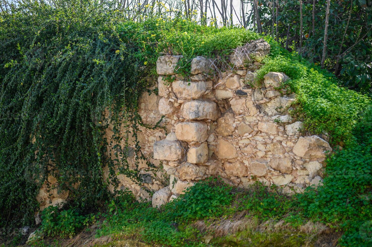 old village in Northern Cyprus in winter 11 photo