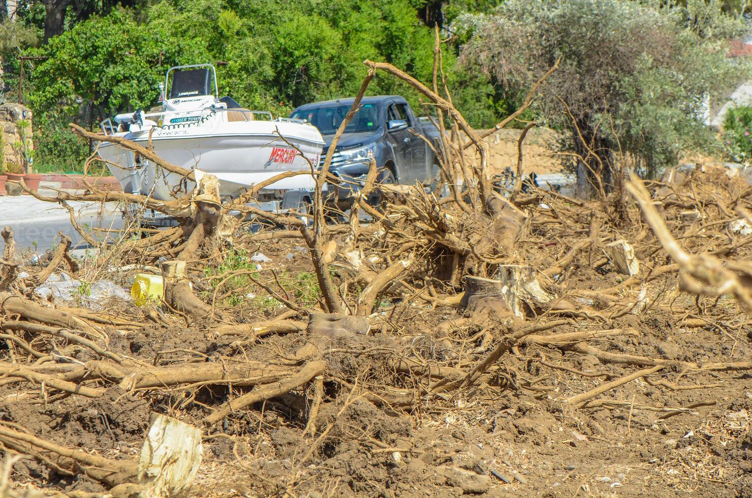 Gazeveren Cyprus 03.07.2024 - excavator uproots the roots of orange trees photo