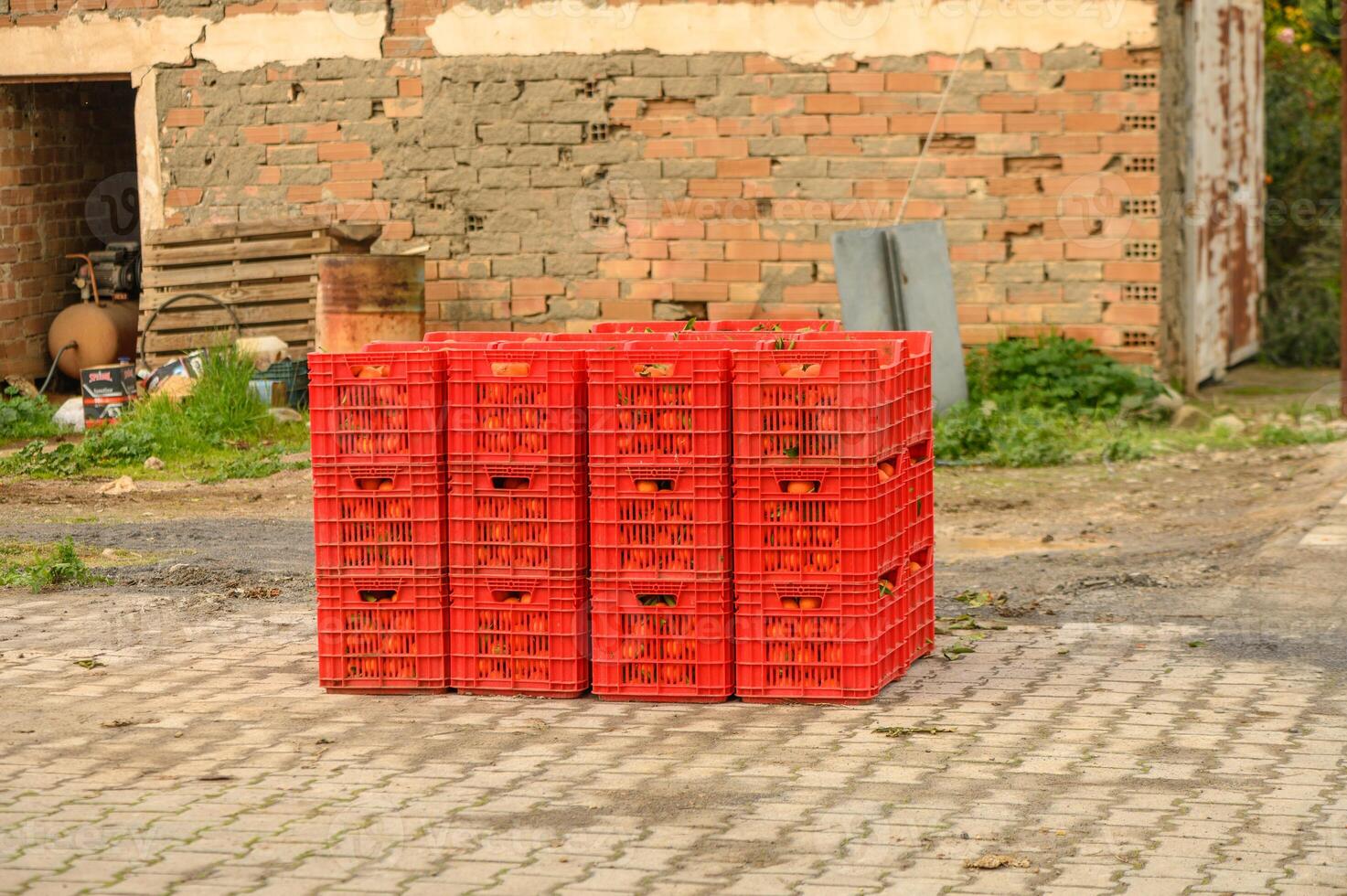 juicy fresh tangerines in boxes for sale in Cyprus in winter 1 photo