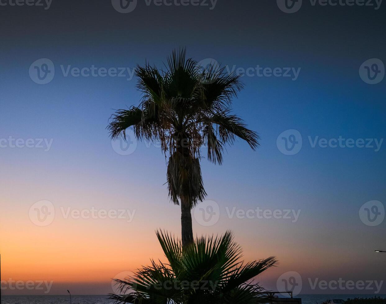 A tropical beach at sunset with palm trees silhouetted against the fiery sky photo