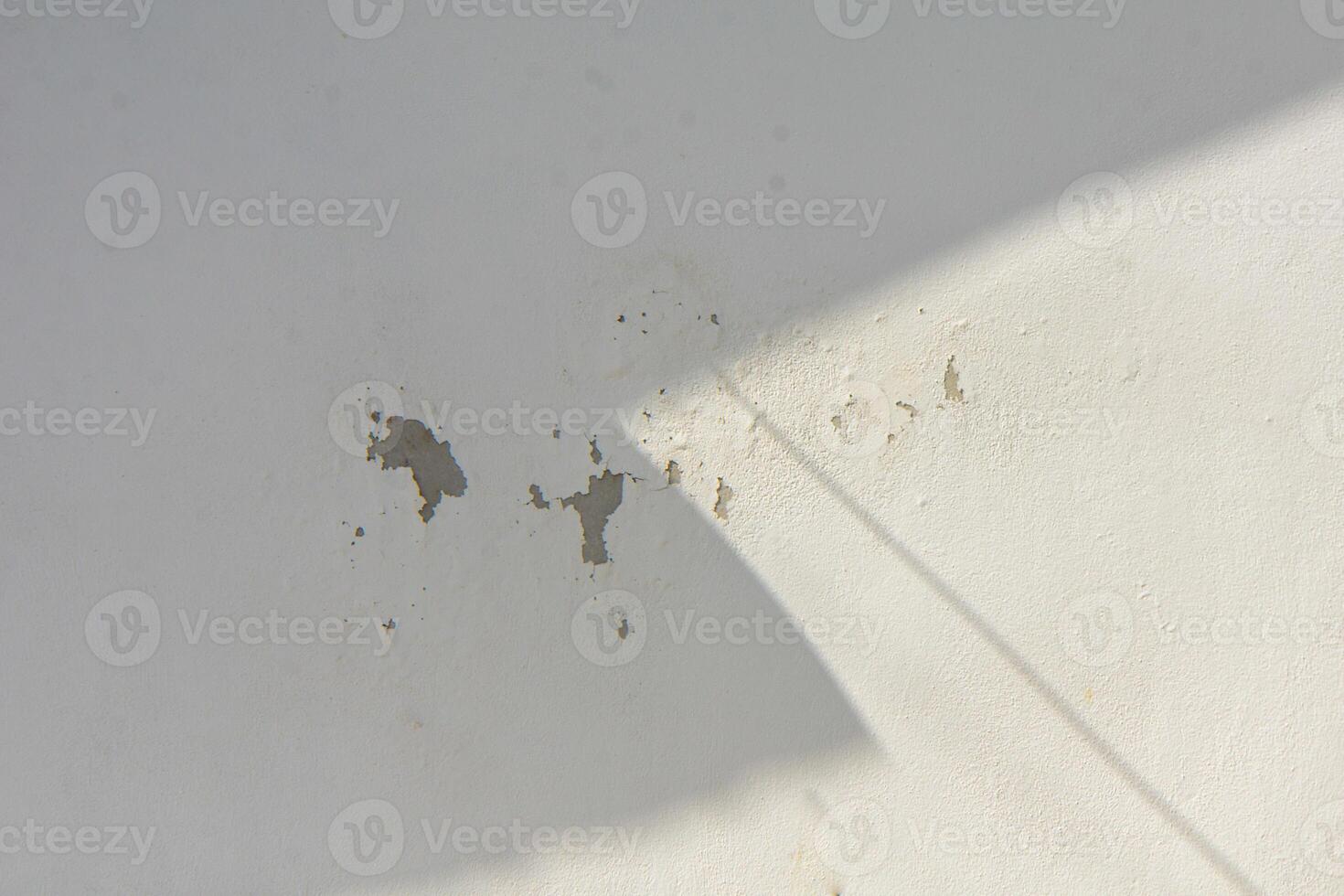 Neutral beige concrete plaster wall coating texture background with a floral sun light shadow photo