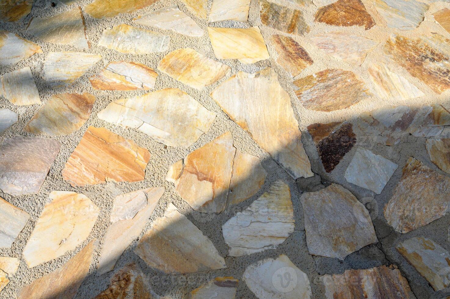 Abstract background with shadows of plants. photo