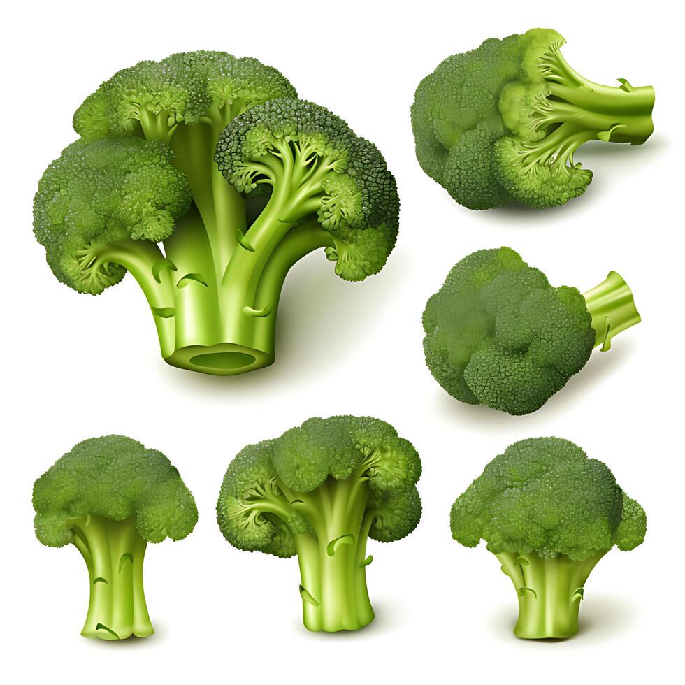 Fresh broccoli isolated on white background, top view. photo