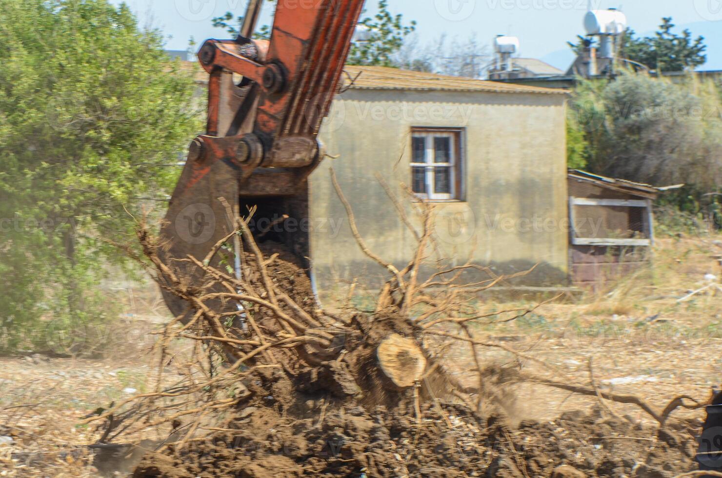Gazeveren Cyprus 03.07.2024 - excavator uproots the roots of orange trees photo