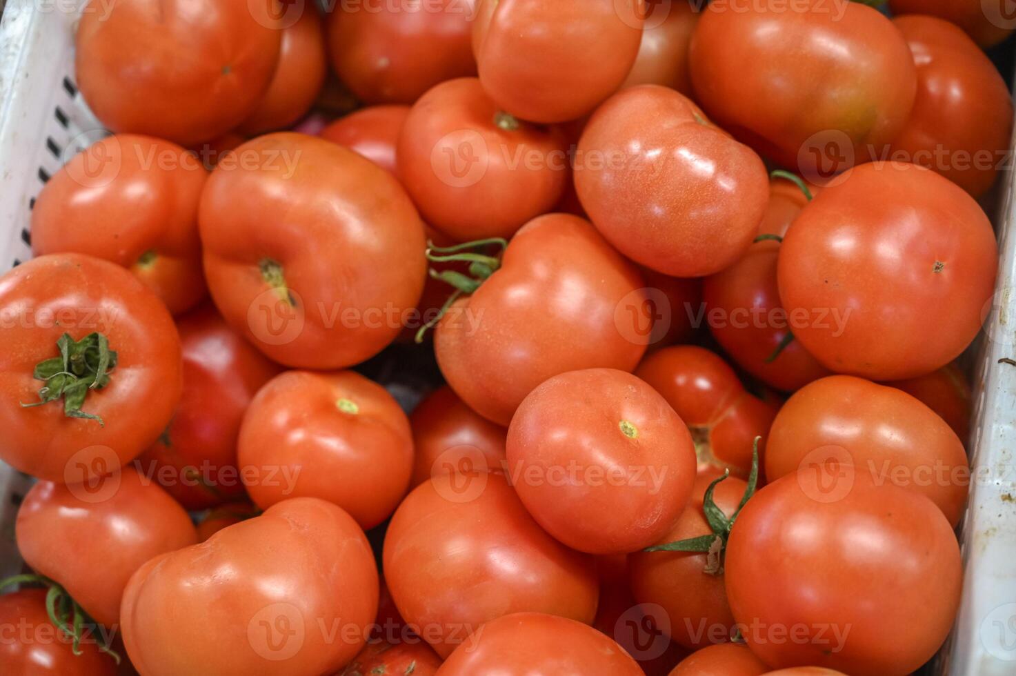 juicy tomatoes at local vegetable market in Cyprus 1 photo
