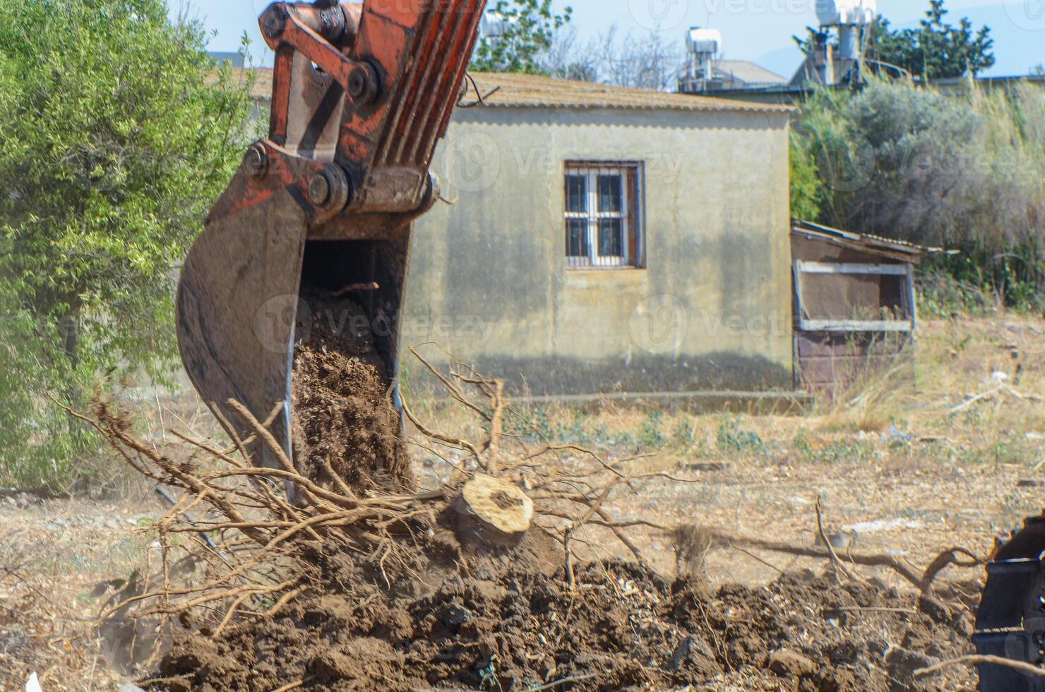 Gazeveren Cyprus 03.07.2024 - excavator uproots the roots of orange trees photo