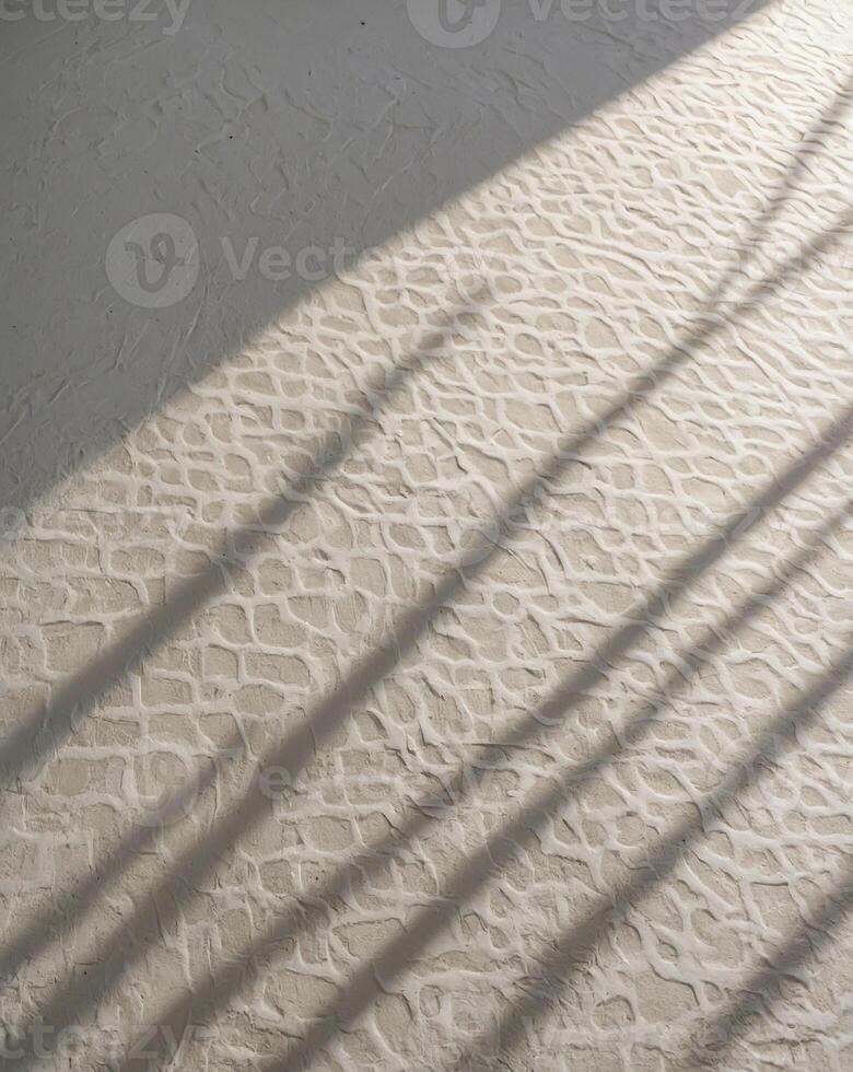 Aesthetic shadow overlay on the white wall. Sunlight forms shadows from tree branches on the wall. AI-Generated photo