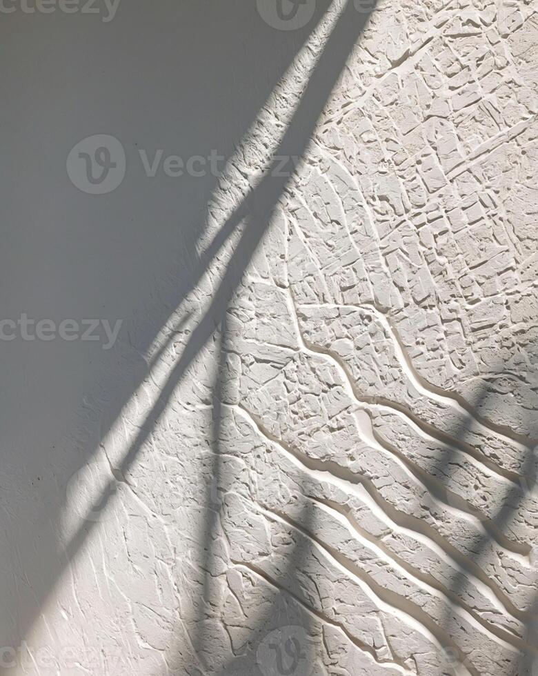 Aesthetic shadow overlay on the white wall. Sunlight forms shadows from tree branches on the wall. AI-Generated photo