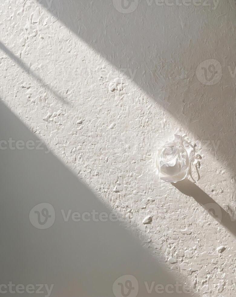 Aesthetic shadow overlay on the white wall. Sunlight shines on a textured wall. AI-Generated photo