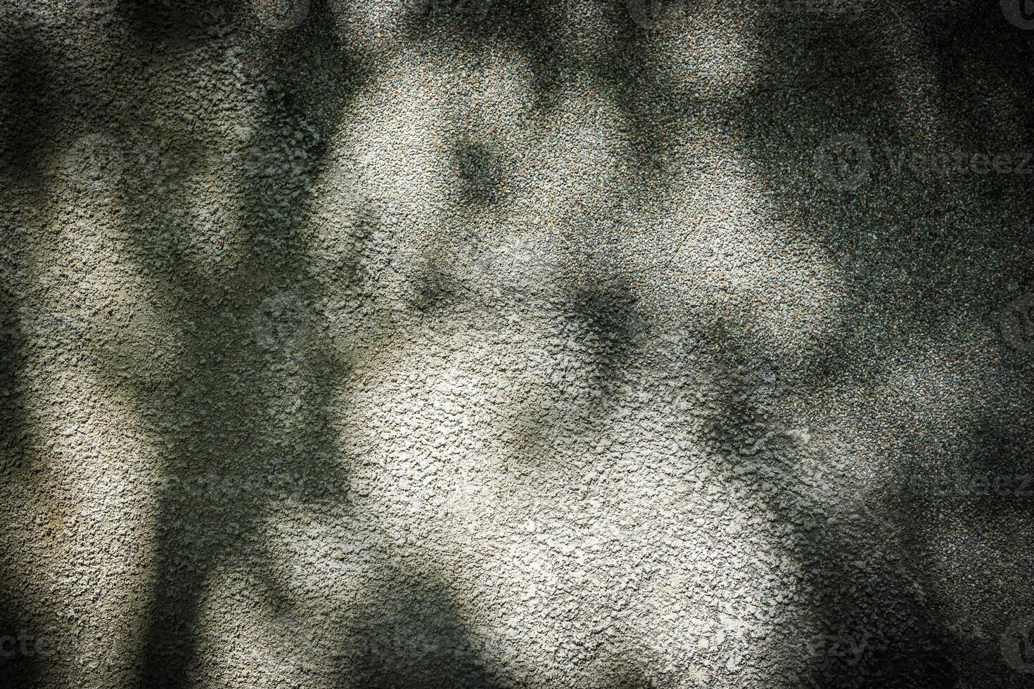 Shadow of leaves on grayish concrete wall texture background photo