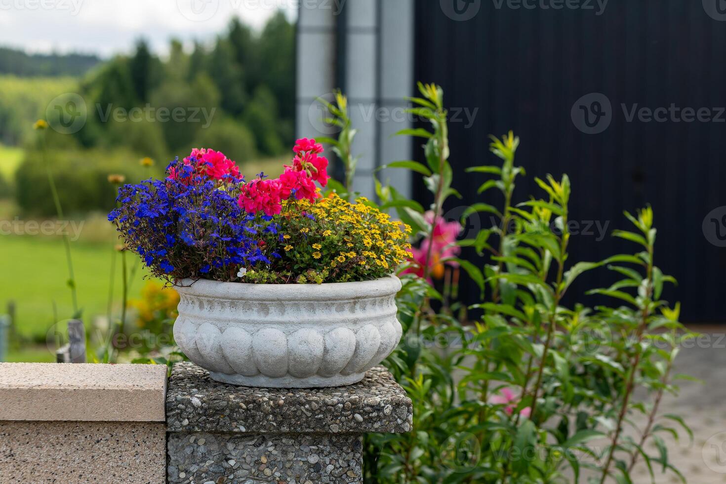 white flower pot with a colorful arrangement of flowers sits on a cement wall photo
