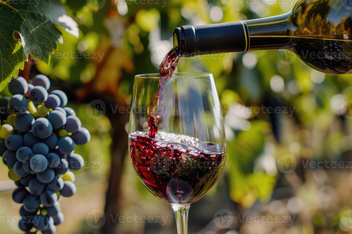 Pouring red wine into glass on the wooden barrel in the vineyard on a beautiful summer day photo