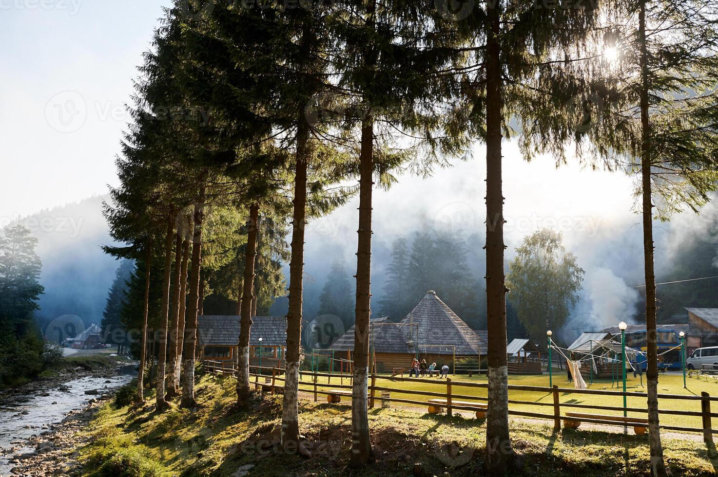 karpathian forest one High quality photo