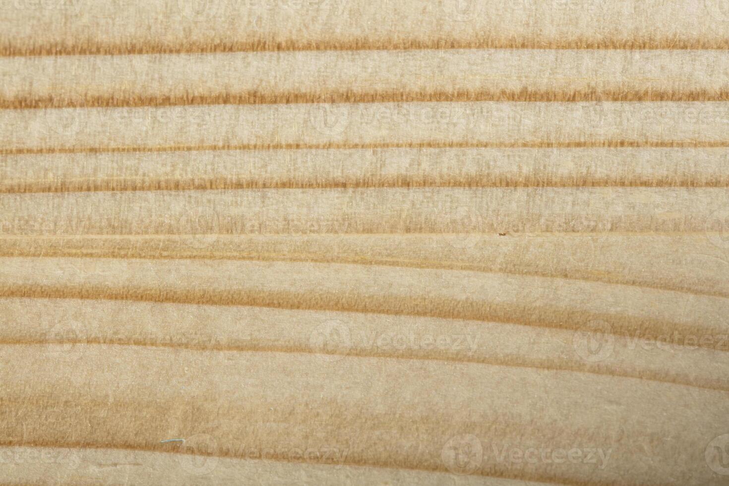 Texture of light wood with veins closeup. Wooden background photo