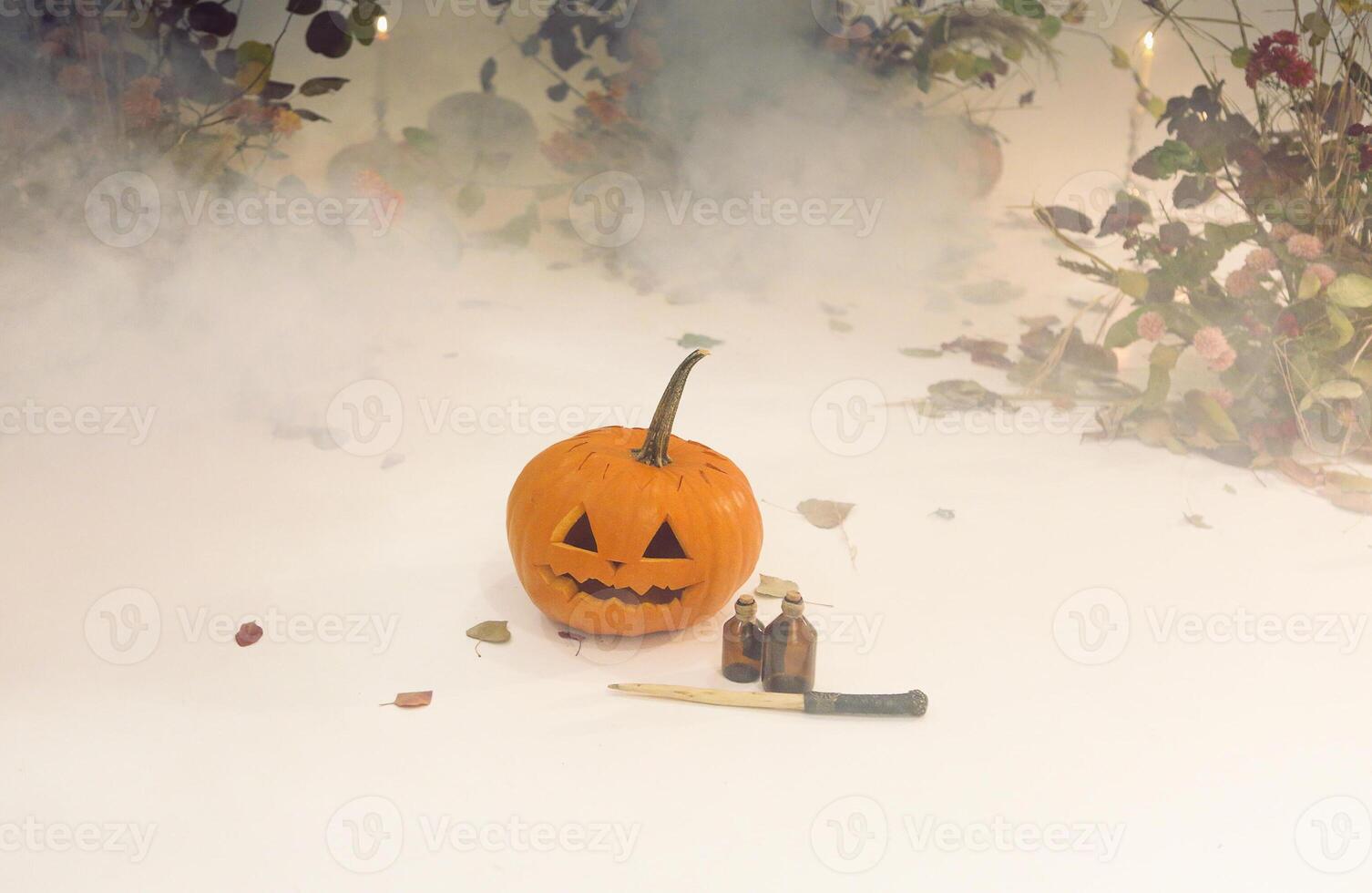 Composition of natural Halloween decorations photo