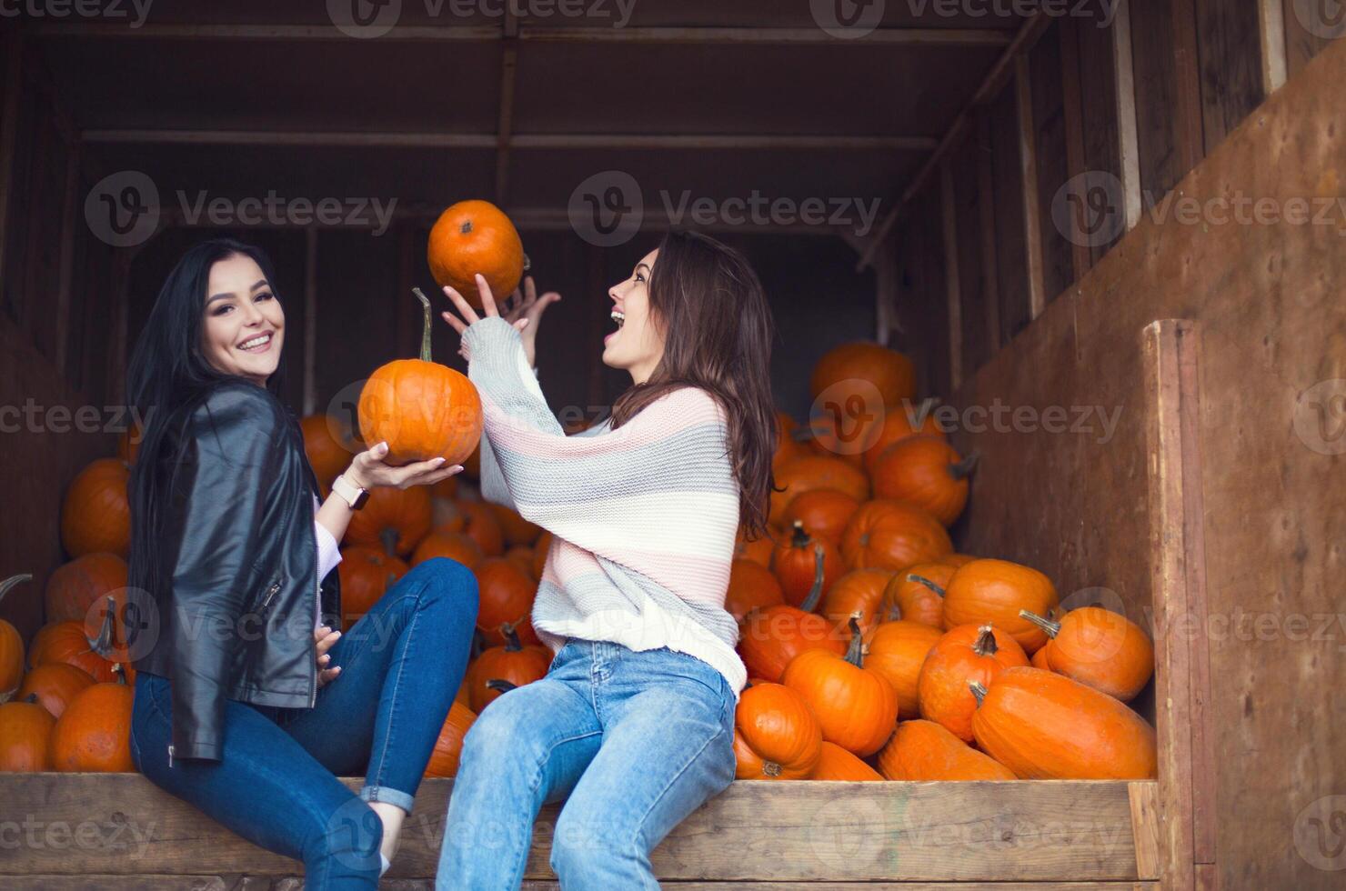 Fashionable beautiful young girlfriends together at the autumn pumpkin patch background. Having fun and posing photo