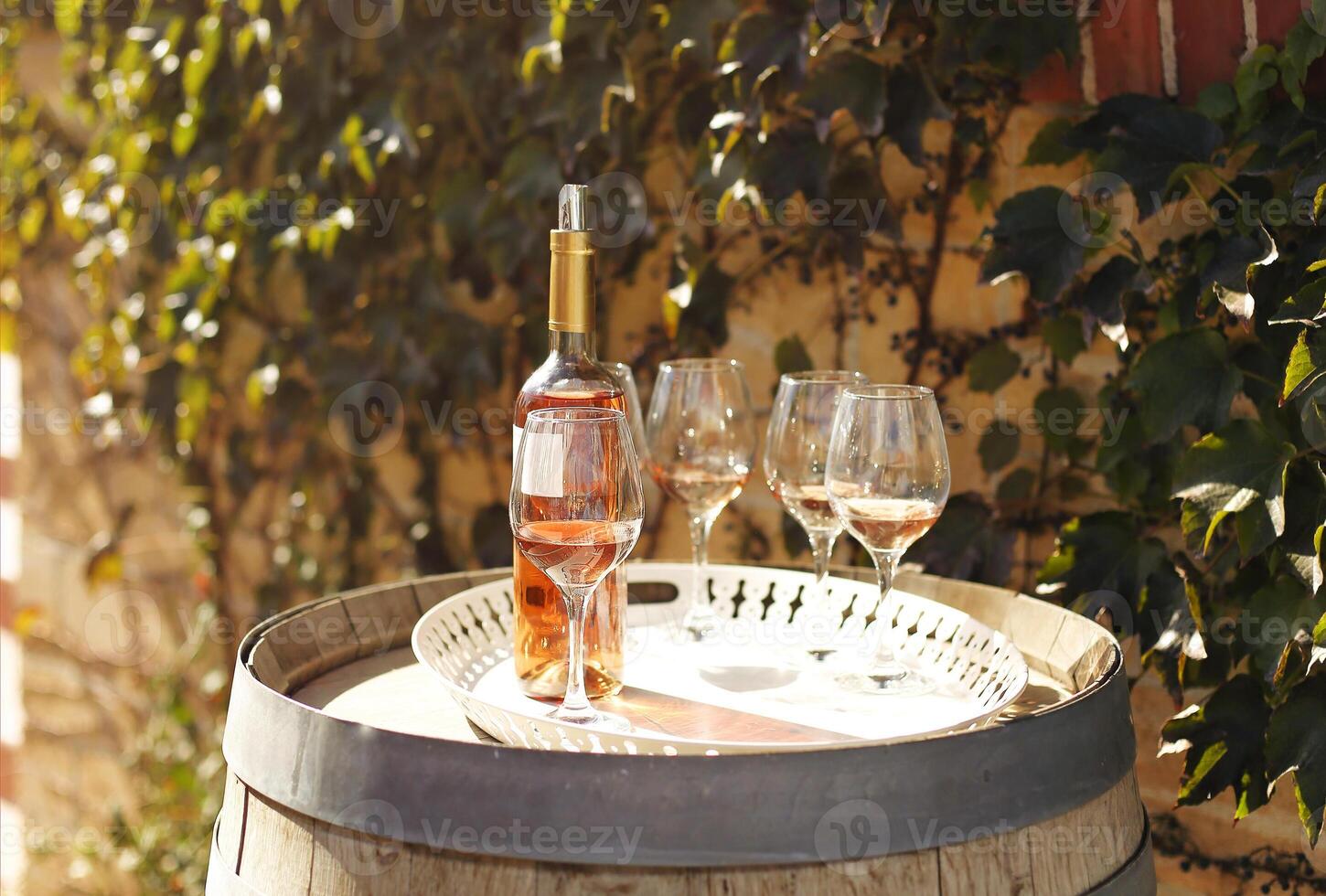 Many glasses and bottle of rose wine in the autumn vineyard photo